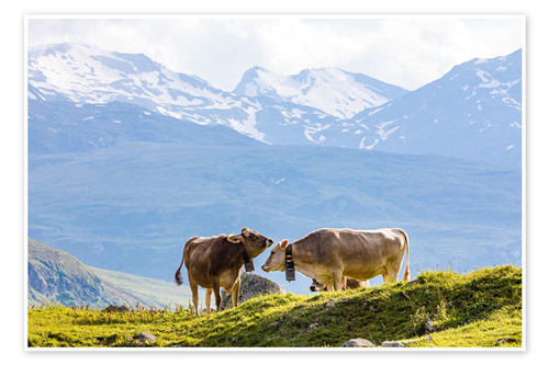 Bando di gara tramite procedura aperta per la concessione in uso di pascoli di proprietà comunale soggetti ad uso civico per le stagioni di alpeggio 2026-2029 - Lotto 1-2-3
